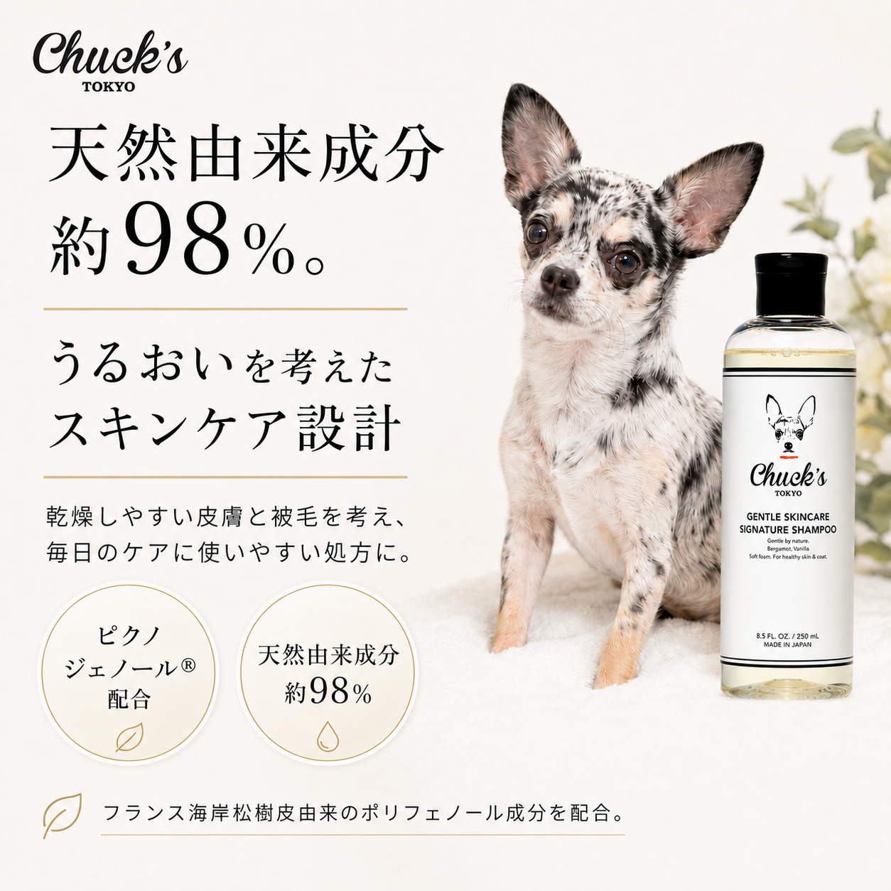 GENTLE SKINCARE SIGNATURE SHAMPOO